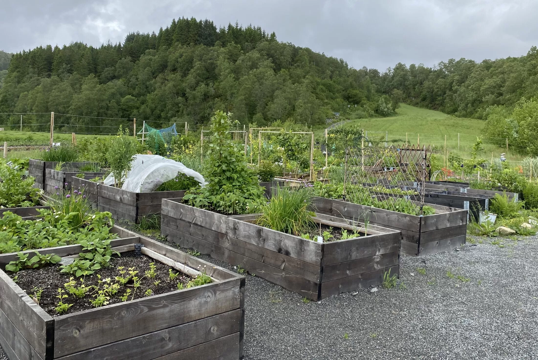 Skatt Ved Salg Av Tomt - Bergen Huseierforening