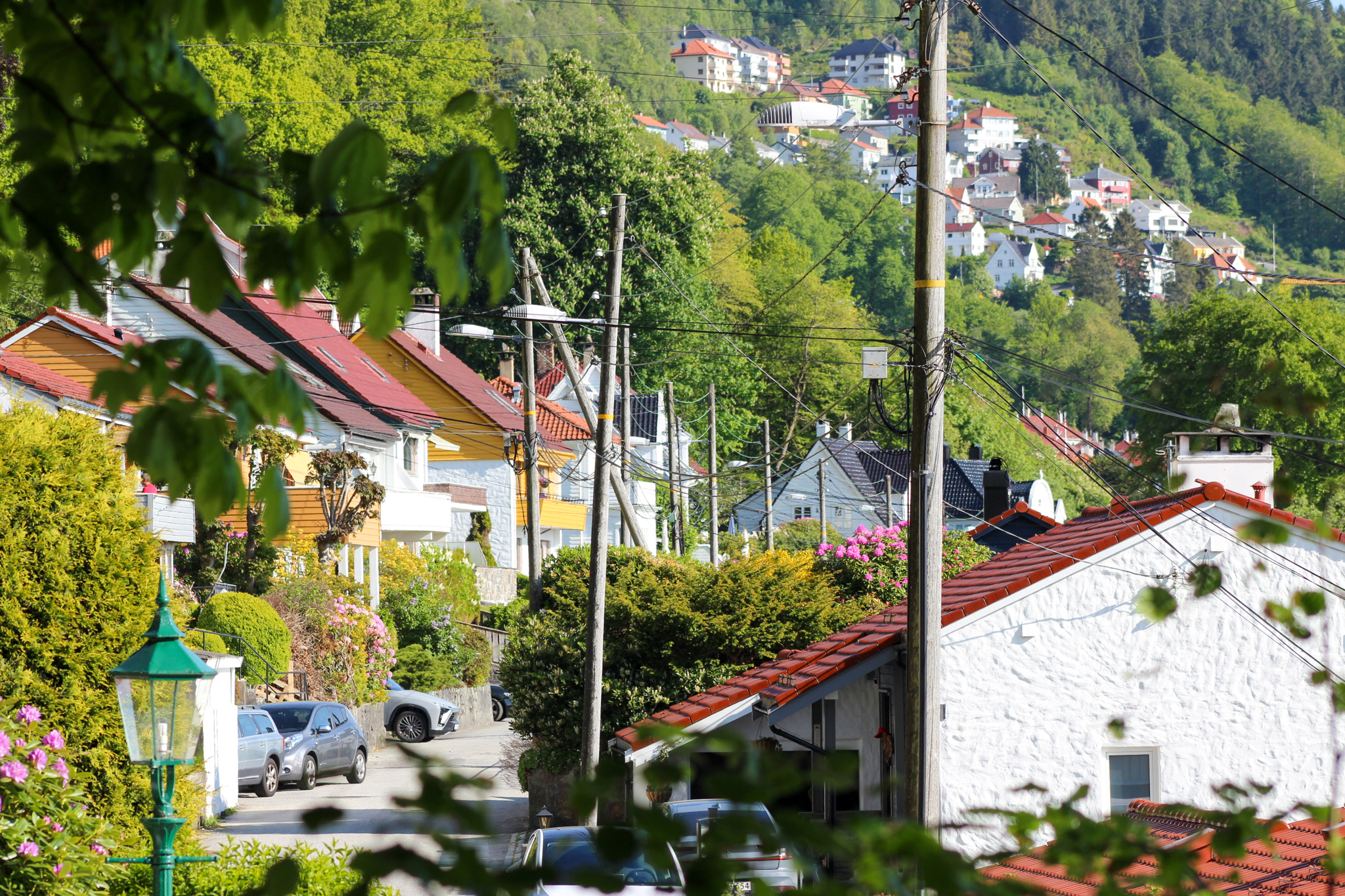 houses